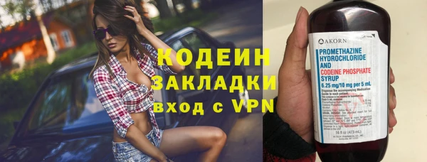 apvp Ельня