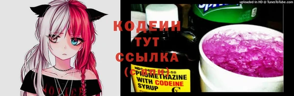 apvp Ельня