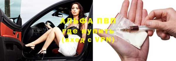 apvp Ельня