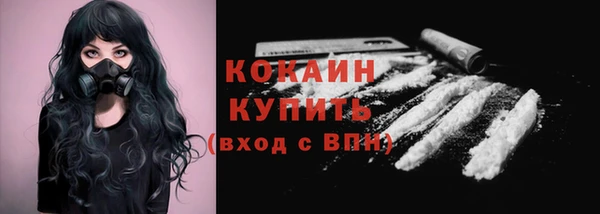 apvp Ельня