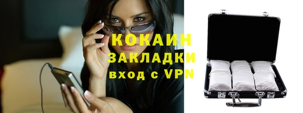 apvp Ельня