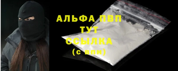 apvp Ельня