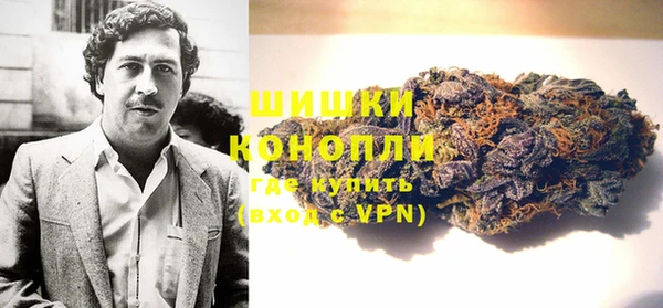 apvp Ельня